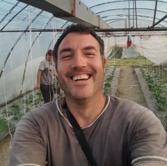 Pavle